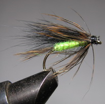 ���� ������ Wet fly 